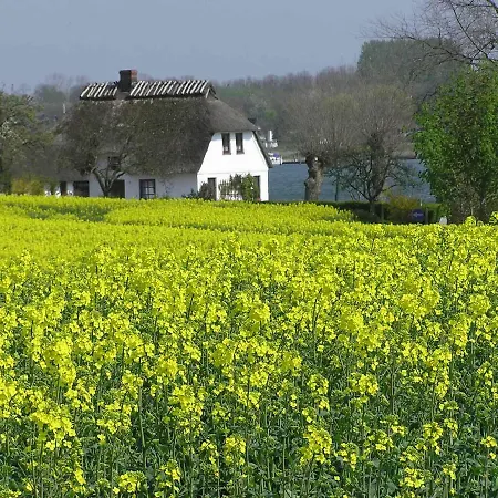 Det Gule Hus 卡珀尔恩