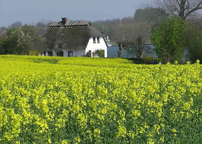 Det Gule Hus カッペルン